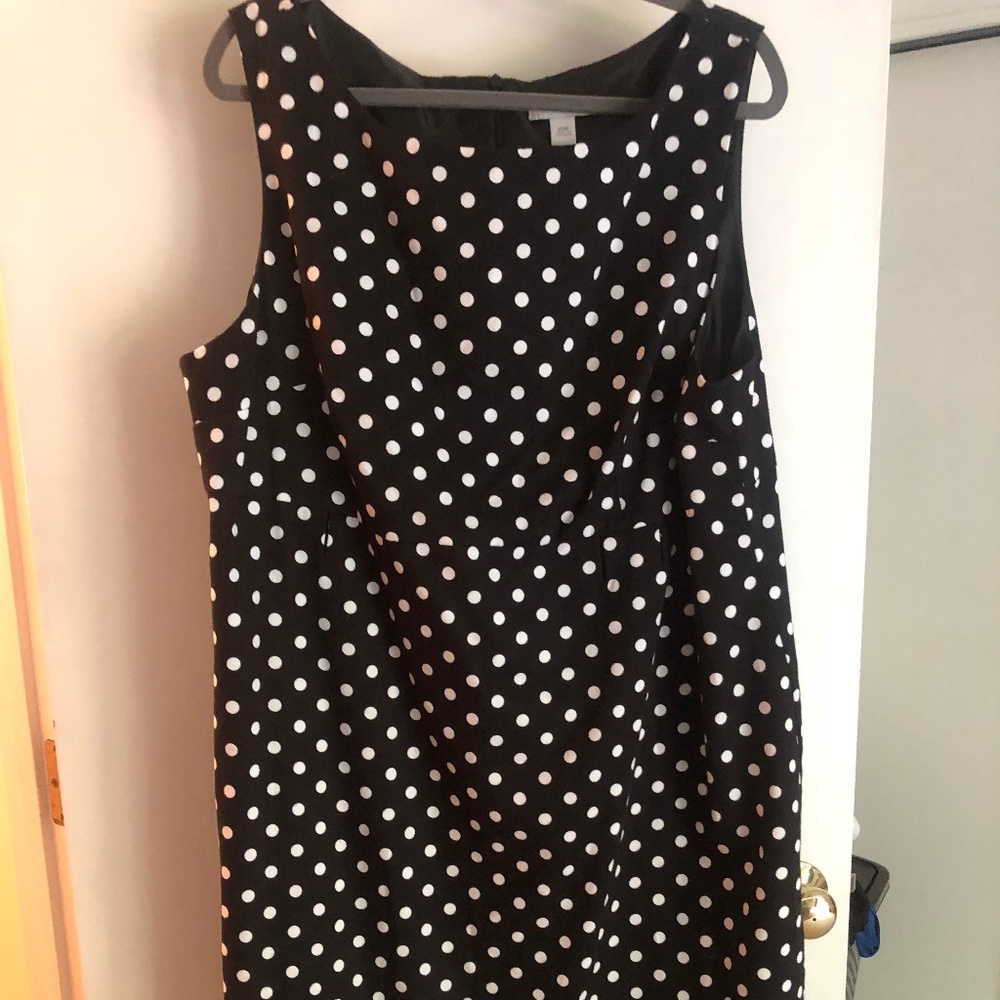 Dress Barn black and white polka dot dress